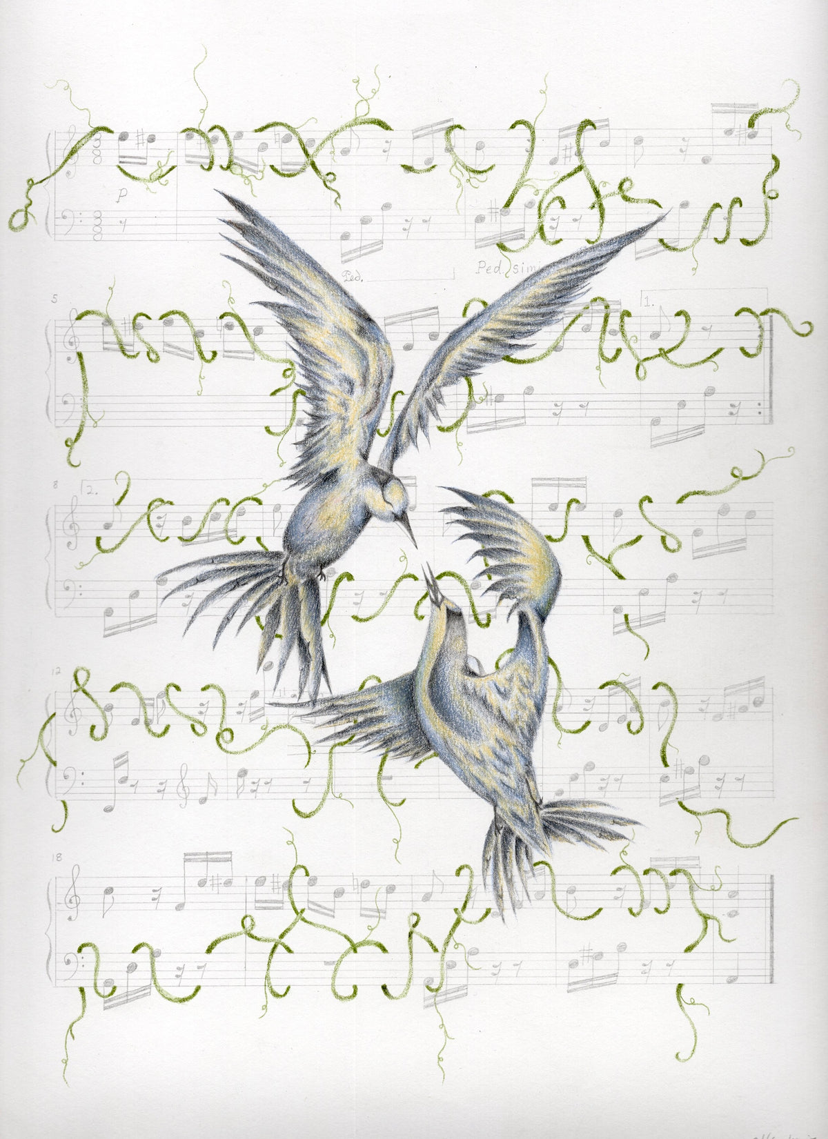 SONGBIRDS PRINT