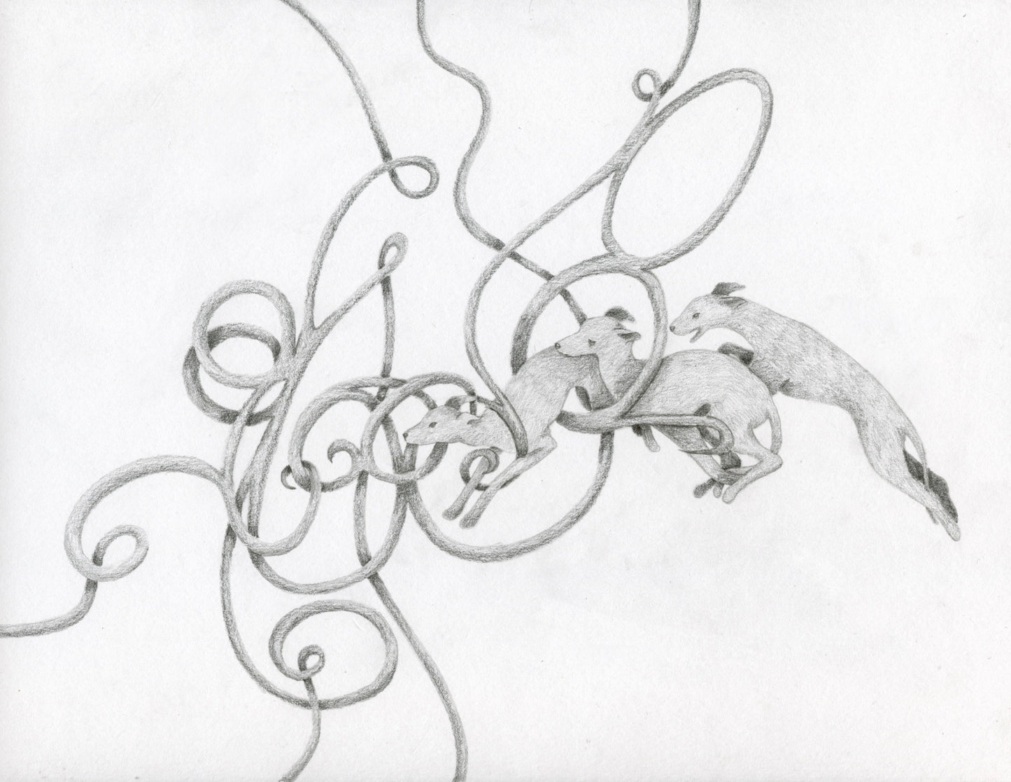 WHIPPETS IN THE WHORLS PRINT