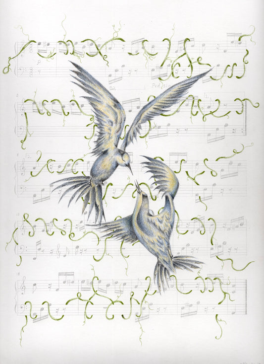 SONGBIRDS PRINT