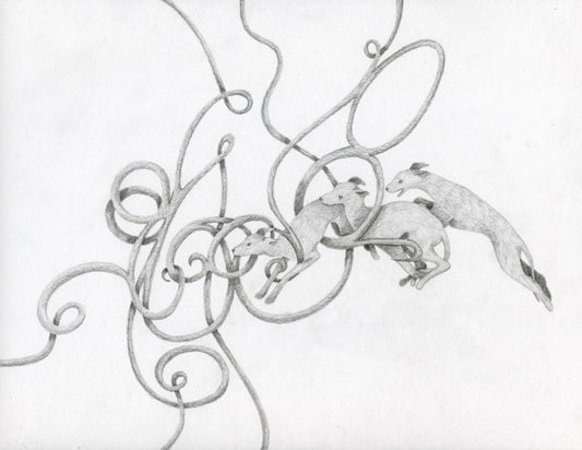 WHIPPETS IN THE WHORLS PRINT